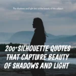 Silhouette Quotes