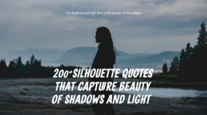 Silhouette Quotes