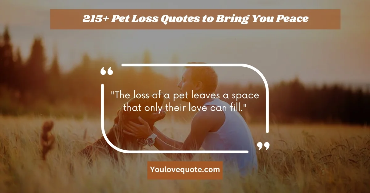 Pet Loss Quotes