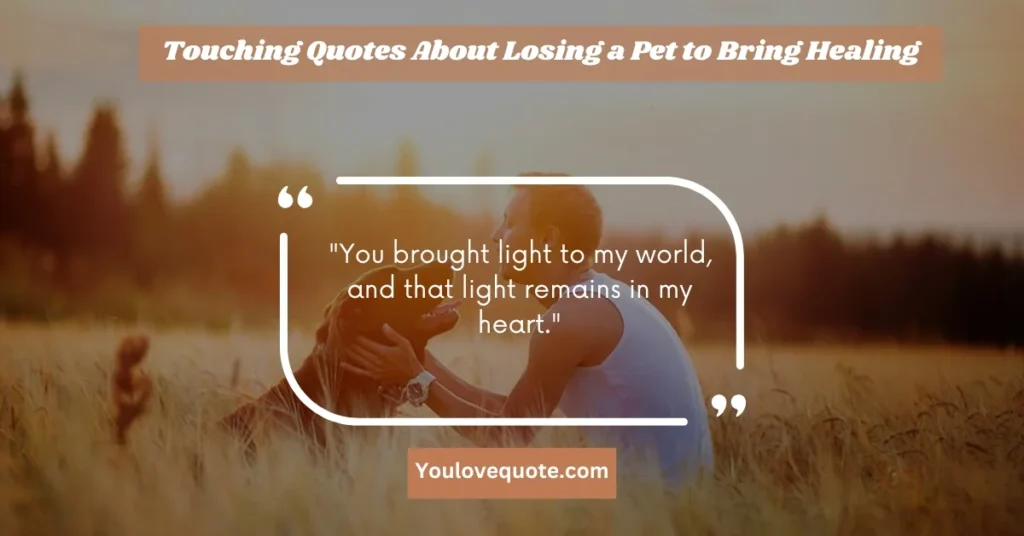 Touching Quotes About Losing a Pet to Bring Healing