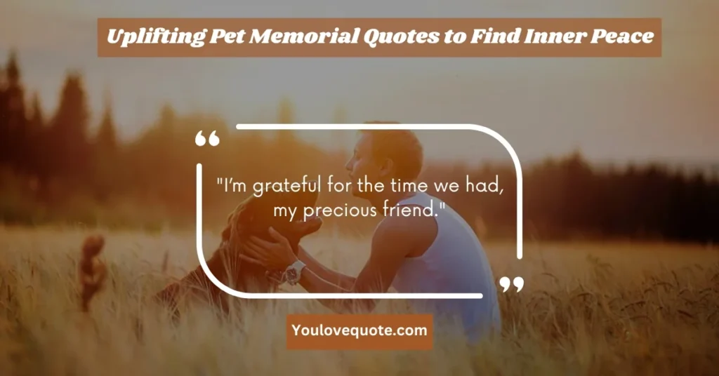 Uplifting Pet Memorial Quotes to Find Inner Peace